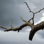 Unbreakable: Building the Resilience Needed to Create in a Volatile World 8 Creative Resilience in action today