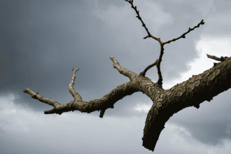 Unbreakable: Building the Resilience Needed to Create in a Volatile World 12 Creative Resilience in action today