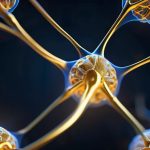 Cognitive Reserve Longevity Protocol for CEOs.